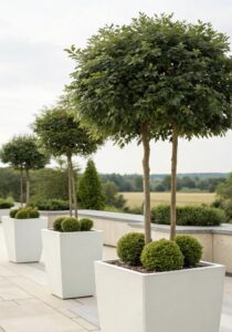 15 Unique Tall Outdoor Planters Ideas That Stand Out